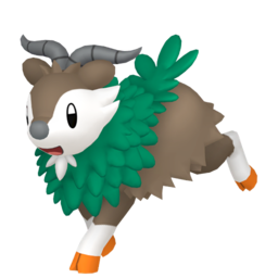 Skiddo Image